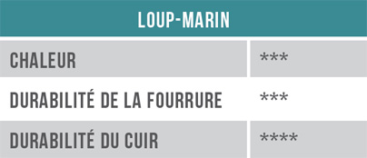 Tableau - Loup-marin