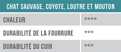 Tableau - Chat sauvage, coyote, loutre et mouton