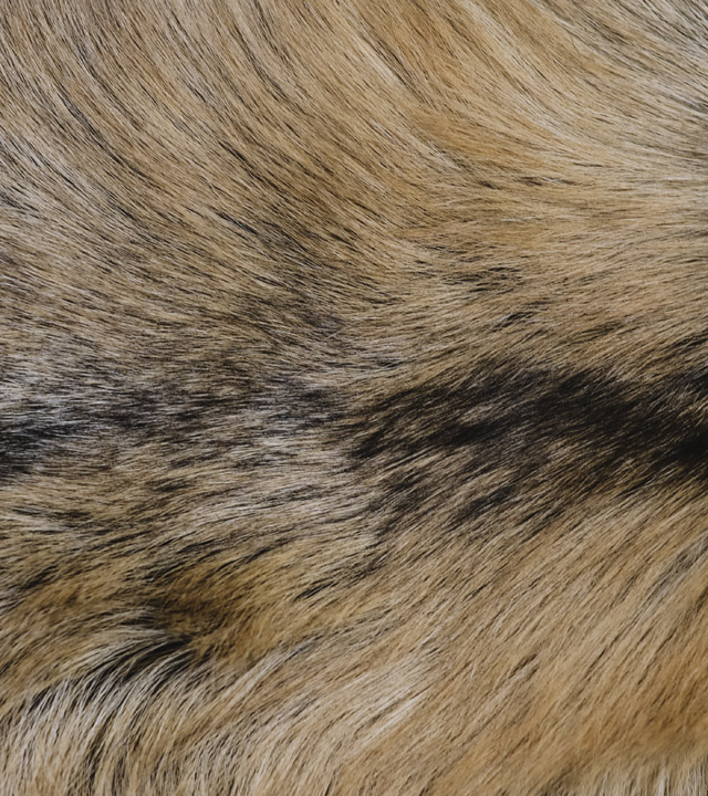 Texture de fourrure - Fourrures Grenier